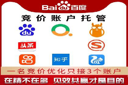 SEM广告投放的技巧与策略——成功案例分享
